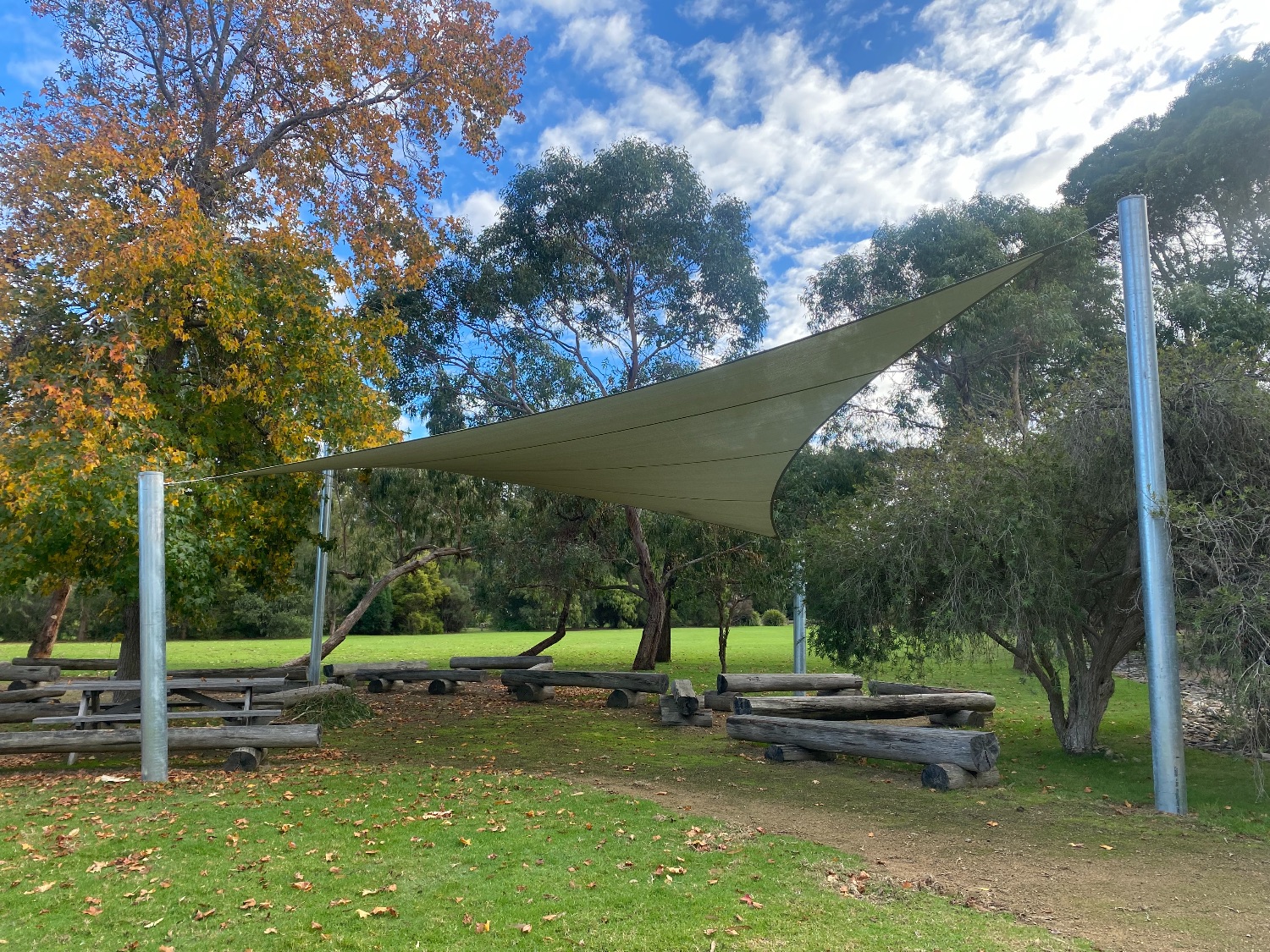 Shade Sail and shade trees